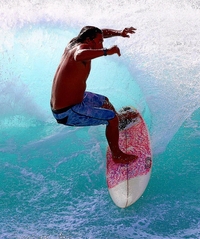 ‘캐리비안 해적’ 美 배우, 하와이서 서핑 중 상어에 물려 사망 충격 [할리웃톡]