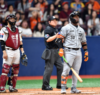 [포토]‘홈런타구 확인중’ 솔로포 페라자