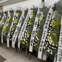 추적추적 내리는 빗속…故현철 빈소, 남진→임영웅 근조화환 빼곡히