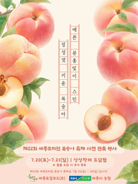 제22회 세종 조치원 복숭아 축제, 26일부터 28일까지 세종시에서 열려