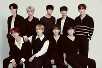 크래비티, 경호업체 과잉경호 논란...소속사 측 “협력 관계 종료”