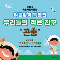 속초시립박물관, 2024 여름방학 특별전 <우리들의 작은 친구, 곤충> 개최