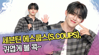 세븐틴 에스쿱스, 귀엽게 볼 콕~(로에베 포토콜) [SS쇼캠]