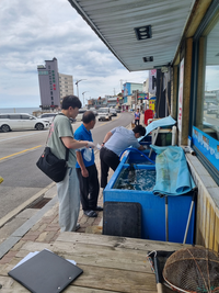 동해시, 식중독 예방 합동점검 결과 ‘적합’