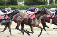 KRA컵 클래식(G2) 대상경주 개최, 올해 연도대표마는?