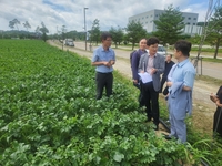 강원자치도, 기재부와 여름철 고랭지배추·무 생산 현장 점검