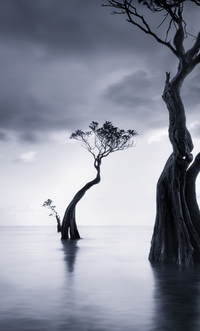 김석은 작가 개인전 ‘바다 위 나무 가족 이야기’