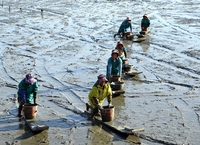 전남도, 여성어업인 특화건강검진으로 건강 챙긴다