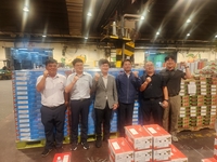 강원자치도, 여름철 채소 집중출하 가락시장 동향 점검