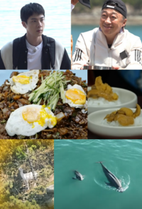 시청률 고공행진 ‘푹다행’, BTS 진 ‘美친 섭외력’→5성급 무인도 요리 향연