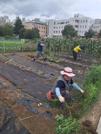 동해시, 농가 일손 부족 해소에 나서