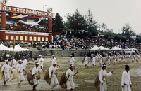 동해시, ‘보역새놀이’ 가치 재조명