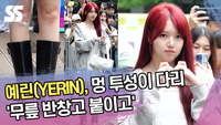 예린, 멍 투성이 다리 ‘무릎 반창고 붙이고’ (뮤직뱅크 출근길) [SS쇼캠]