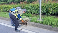 동해시, 추석 맞이 도로 환경정비