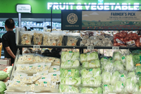 배춧값 당분간 강세, 한포기 2만원 넘어…정부 “중국서 수입”