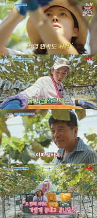 ‘돈독’ 오른 덱스-염정아 “포도 씨를 말리겠다” 역대 최고 35만원 직송비에 환호(언니네 산지직송)[SS리뷰]