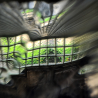 [여정B] 일그러진 창으로 보인 입센의 ‘인형의 집’, 나는 나다!