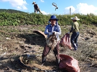 강진군, 병영면 집중호우 피해 극복 사회단체 앞장