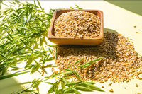 강진군, 슈퍼푸드 ‘쌀귀리’ 영양풍부 맛과 건강 사로잡다