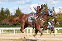 늘가을 우승! 가을바람 가르며 40회日刊배 정상 등극