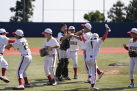 역대 최고 181팀 참가, 2024 MLB 컵 송파A 리틀 야구단·인천 서구 리틀 야구단 우승