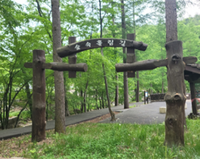 강원 보건환경연구원, 산림휴양지 피톤치드 농도 조사