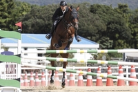 국산 우수 승용마 발굴의 장, Young Horse Cup 및 스포츠말 품평회 결승