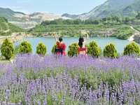 <Train to Dong-hae> 동해선 개통에 맞춰 관광객 유치에 총력