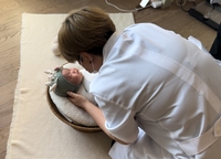 박수홍♥ 김다예, 신생아 촬영→사진작가 저격 논란 “걱정되면 촬영 안 하면 그만”