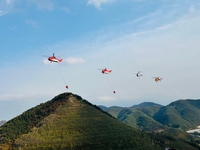 강원자치도, 2024년 산불진화 통합훈련 실시