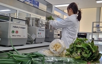 전남보건환경연구원, 김장철 잔류농약 412항목 집중 검사