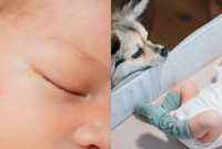 빈지노♥ 미초바 “분노의 질주급 자연분만으로 子출산” 귀여운 2세 공개