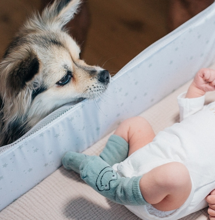 스테파니 미초바