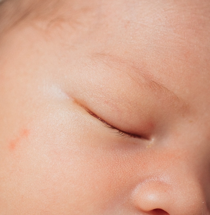 스테파니 미초바