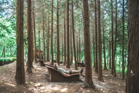 고흥군, ‘최고의 매력적인 가을 여행지’ 눈길