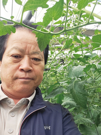 지역 특산품 멜론 재배 영농법인, 품질이 뛰어나 국내 및 해외시장 호평