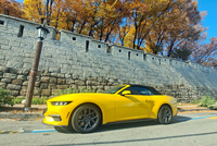 [배우근의 생활형시승기] 7세대 올뉴 포드 머스탱…질주 본능을 깨운다!