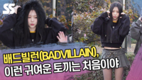 배드빌런(BADVILLAIN), 이런 귀여운 토끼는 처음이야 (‘뮤직뱅크’ 출근길) [SS쇼캠]