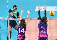 [포토]GS칼텍스 실바의 공격