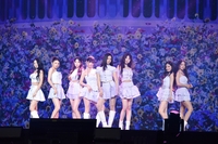 프로미스나인도 떠난다…하이브, 걸그룹 구멍 숭숭 [SS초점]