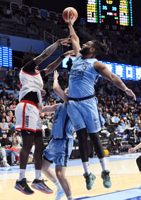 “요지, 너 인싸냐?”... 공효진, 반려견과의 좌충우돌 산책기 공개!