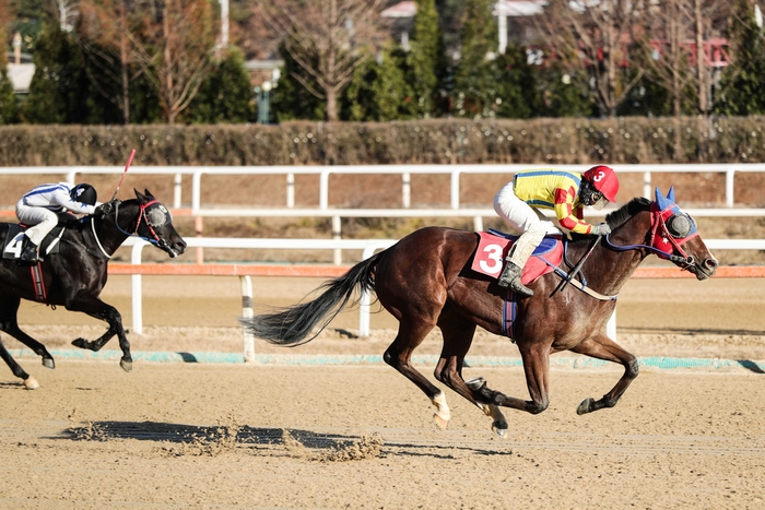 ‘엘도라도강남’ 짜릿한 역전승, 결승선 200m 남기고 1위로