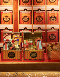 롯데백화점, ‘바샤커피’ 홀리데이 기프트 팝업 진행