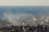 “메이데이” 외친 뒤 2분만에…조류충돌 사고 연평균 100건 이상 왜 하필