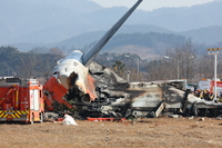 조류충돌? 랜딩기어고장? 제주항공 사고원인 제대로 규명해야[SS포커스]