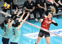 “요지, 너 인싸냐?”... 공효진, 반려견과의 좌충우돌 산책기 공개!