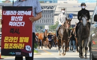 불법경마 조장하는 농식품부? 온라인마권 동결 및 새규제 추가의 반작용