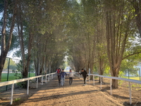 2024 대상경주 5개 석권! ‘글로벌히트’ 도전은 계속된다…두바이 ‘알 막툼 챌린지’ 출전