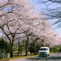 강원관광재단, 강원 네이처로드 ‘고향사랑 기부제 연계 전기 캠핑카 렌트 기획전’ 운영