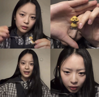 뉴진스 하니, ‘NJZ’ 계정 첫 라이브 중 “개새 친구들” ‘깜짝’